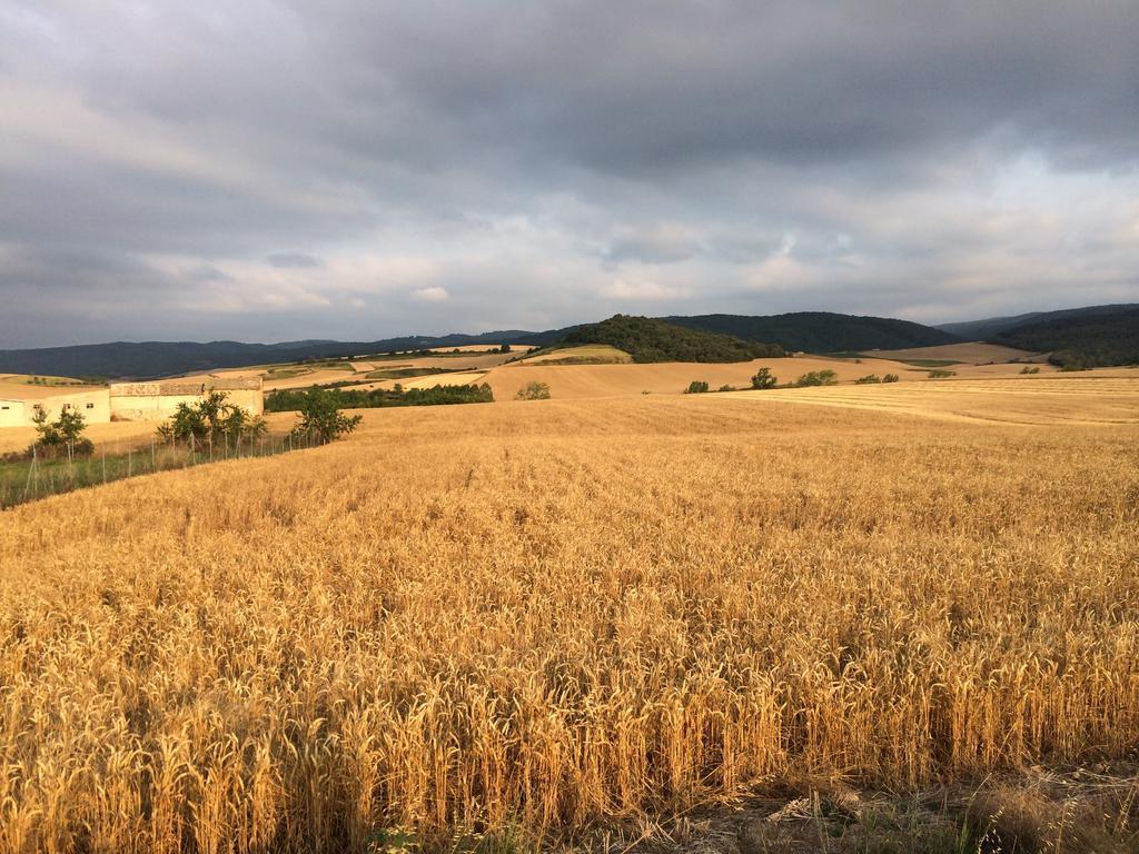 Mihotelito Viloria de Rioja Buitenkant foto